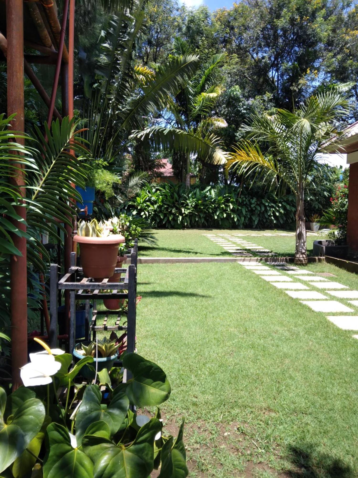 Sprunger Avenue - Tulia Homes Moshi Luaran gambar