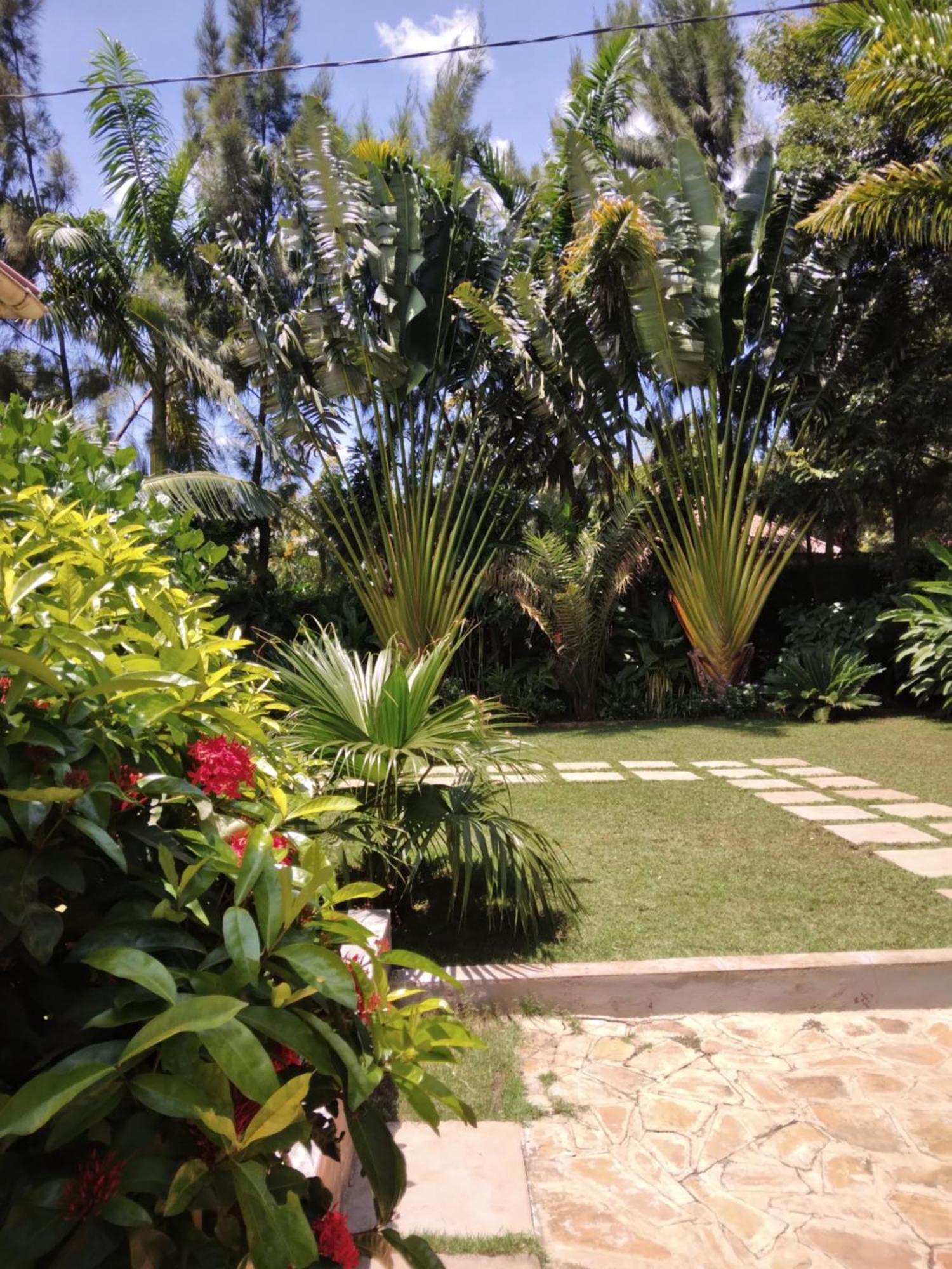 Sprunger Avenue - Tulia Homes Moshi Luaran gambar